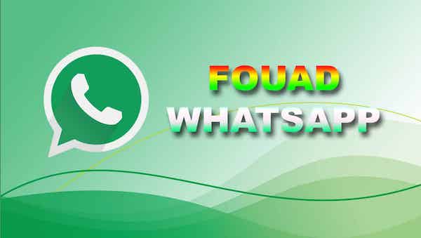 Download Fouad Wa