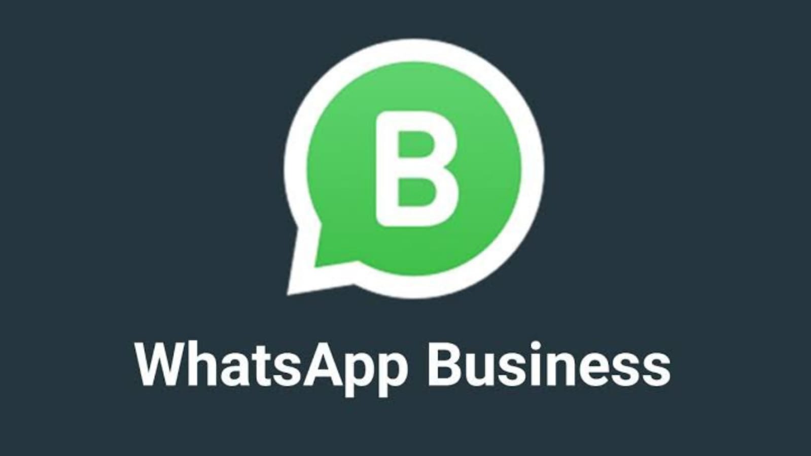 Apa Itu whatsapp Business