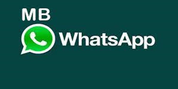 Cara Install MB WhatsApp iOS Mod Apk