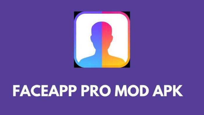 Cara Melakukan Proses Instalasi Faceapp Pro Mod Apk Dengan Baik
