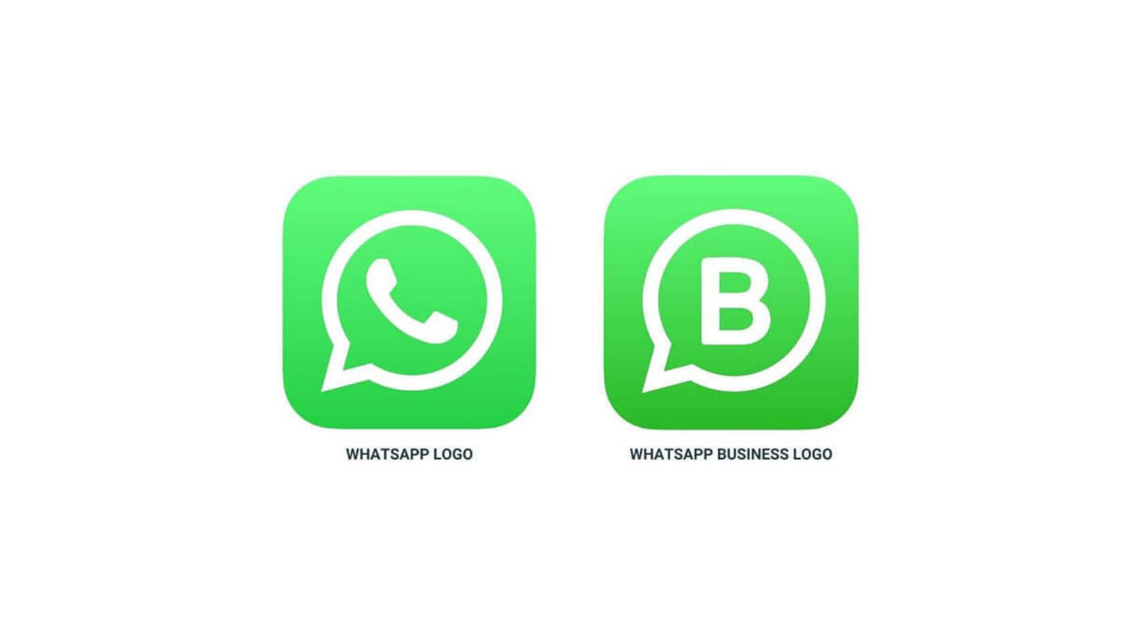 Perbedaan Whatsapp Business Dan Whatsapp Biasa