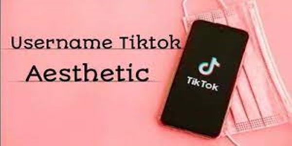 Username TikTok Aesthetic Keren