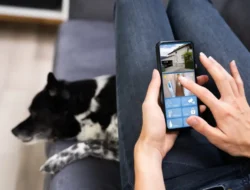 Aplikasi Kamera Tembus Pandang dan Fenomena di Balik Rasa Penasaran Dunia Digital