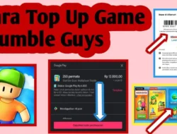 Cara Top Up Stumble Guys dengan Mudah dan Aman untuk Semua Pemain