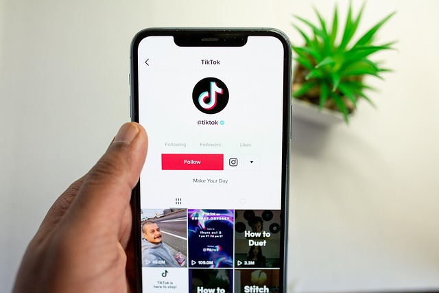 Username TikTok Aesthetic