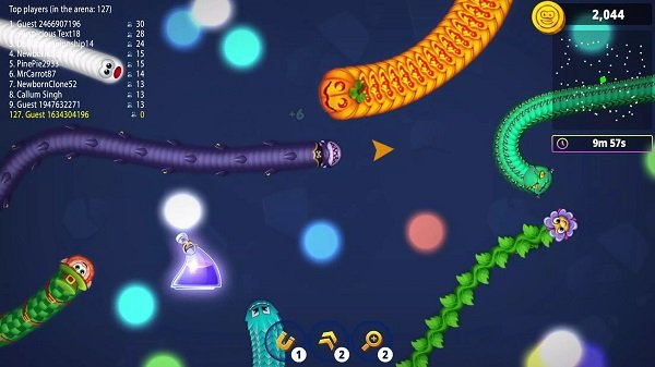 Worm Zone