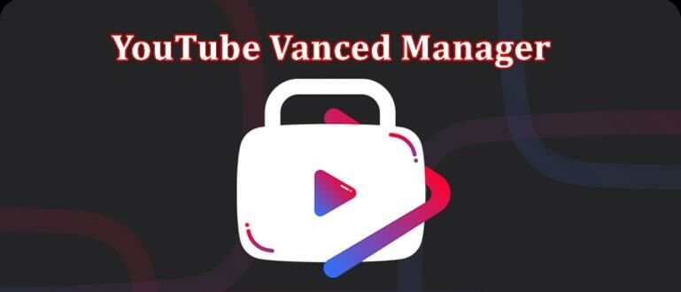 Vanced Manager